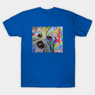 Colorful Cavapoo T-Shirt